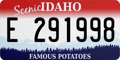 ID license plate E291998