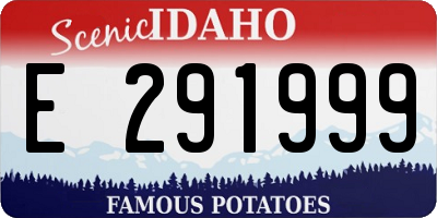 ID license plate E291999
