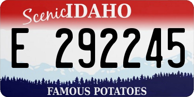ID license plate E292245
