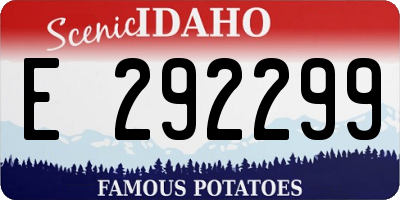 ID license plate E292299