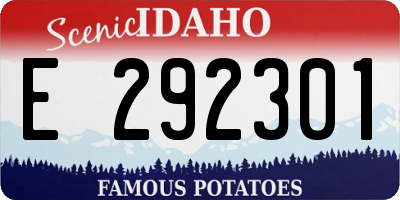 ID license plate E292301