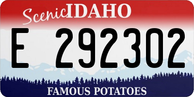 ID license plate E292302