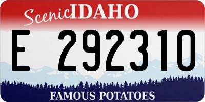 ID license plate E292310