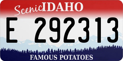 ID license plate E292313