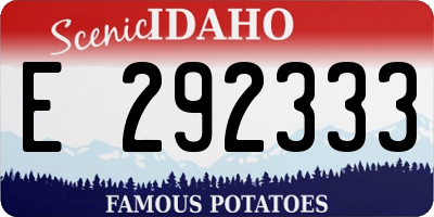 ID license plate E292333