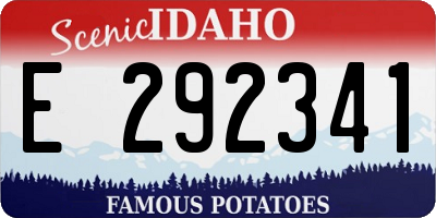 ID license plate E292341