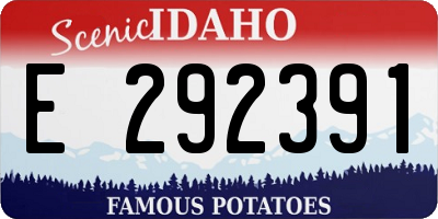 ID license plate E292391