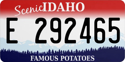 ID license plate E292465