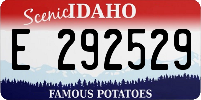 ID license plate E292529