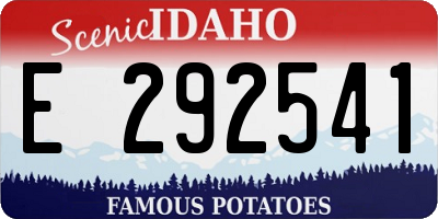 ID license plate E292541