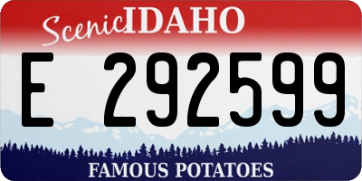 ID license plate E292599