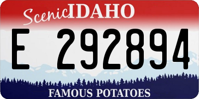 ID license plate E292894