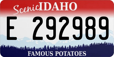 ID license plate E292989