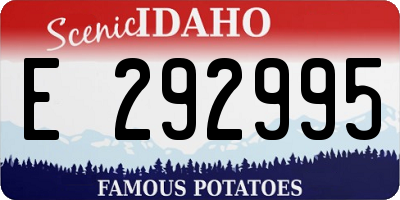 ID license plate E292995