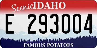 ID license plate E293004
