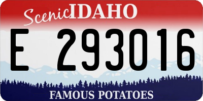 ID license plate E293016