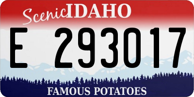 ID license plate E293017