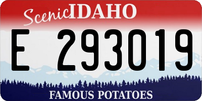 ID license plate E293019