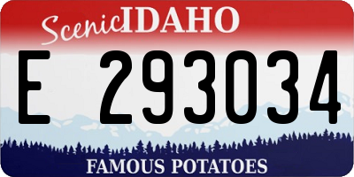 ID license plate E293034