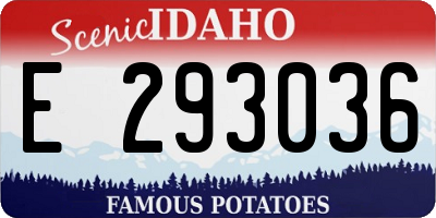 ID license plate E293036