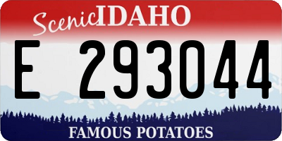 ID license plate E293044