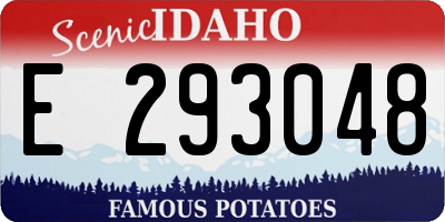 ID license plate E293048