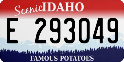 ID license plate E293049