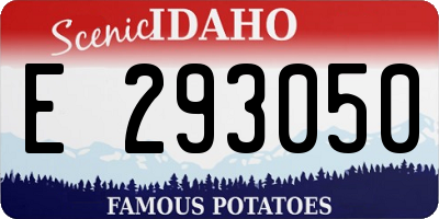 ID license plate E293050