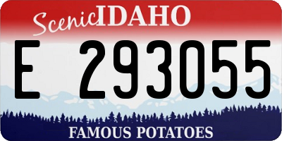 ID license plate E293055
