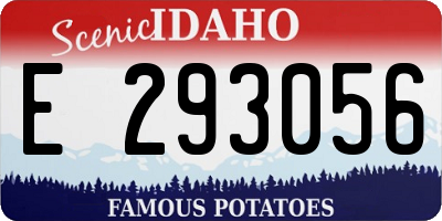 ID license plate E293056