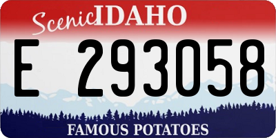 ID license plate E293058