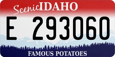 ID license plate E293060