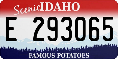 ID license plate E293065