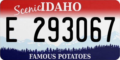 ID license plate E293067