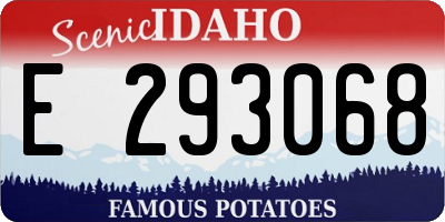 ID license plate E293068
