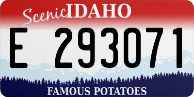 ID license plate E293071