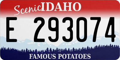 ID license plate E293074