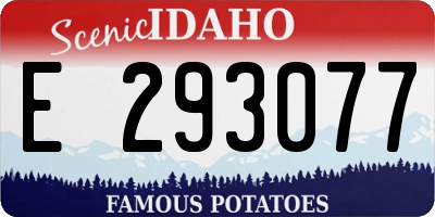 ID license plate E293077