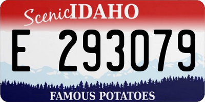 ID license plate E293079