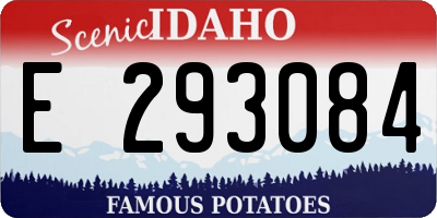 ID license plate E293084