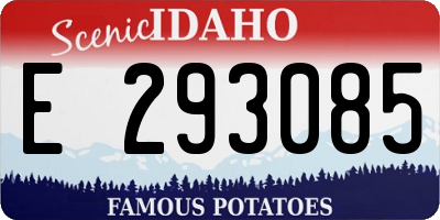 ID license plate E293085