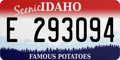 ID license plate E293094