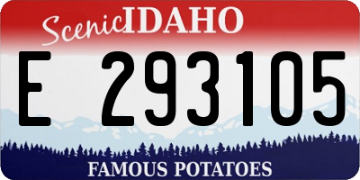 ID license plate E293105