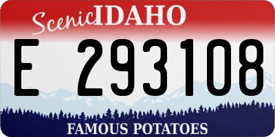ID license plate E293108