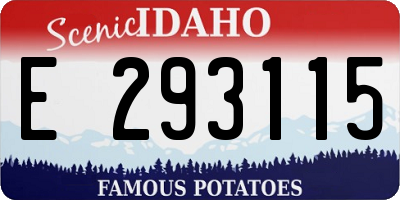 ID license plate E293115