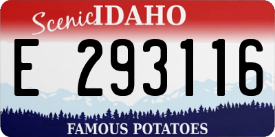 ID license plate E293116