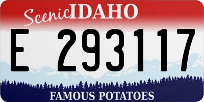 ID license plate E293117