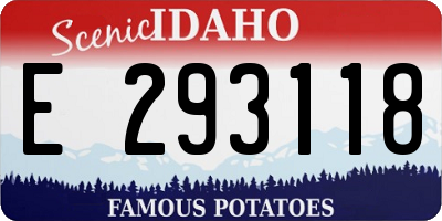 ID license plate E293118