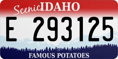 ID license plate E293125