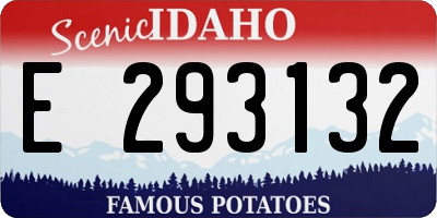 ID license plate E293132